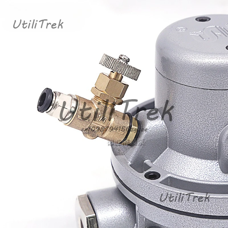 

QMJ-HL2002 Pneumatic One-way Diaphragm Pump Pneumatic Diaphragm Pump For Pumping Ink Ink Printing Machine