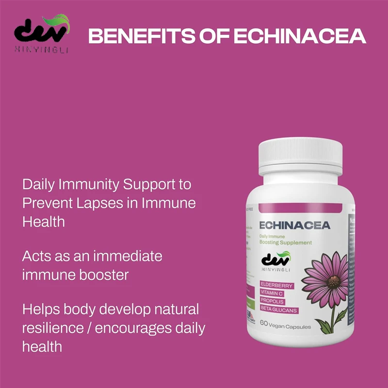Pinecone chrysanthemum immune support supplement, infused with elderberry, vitamin C, propolis, and β - glucan