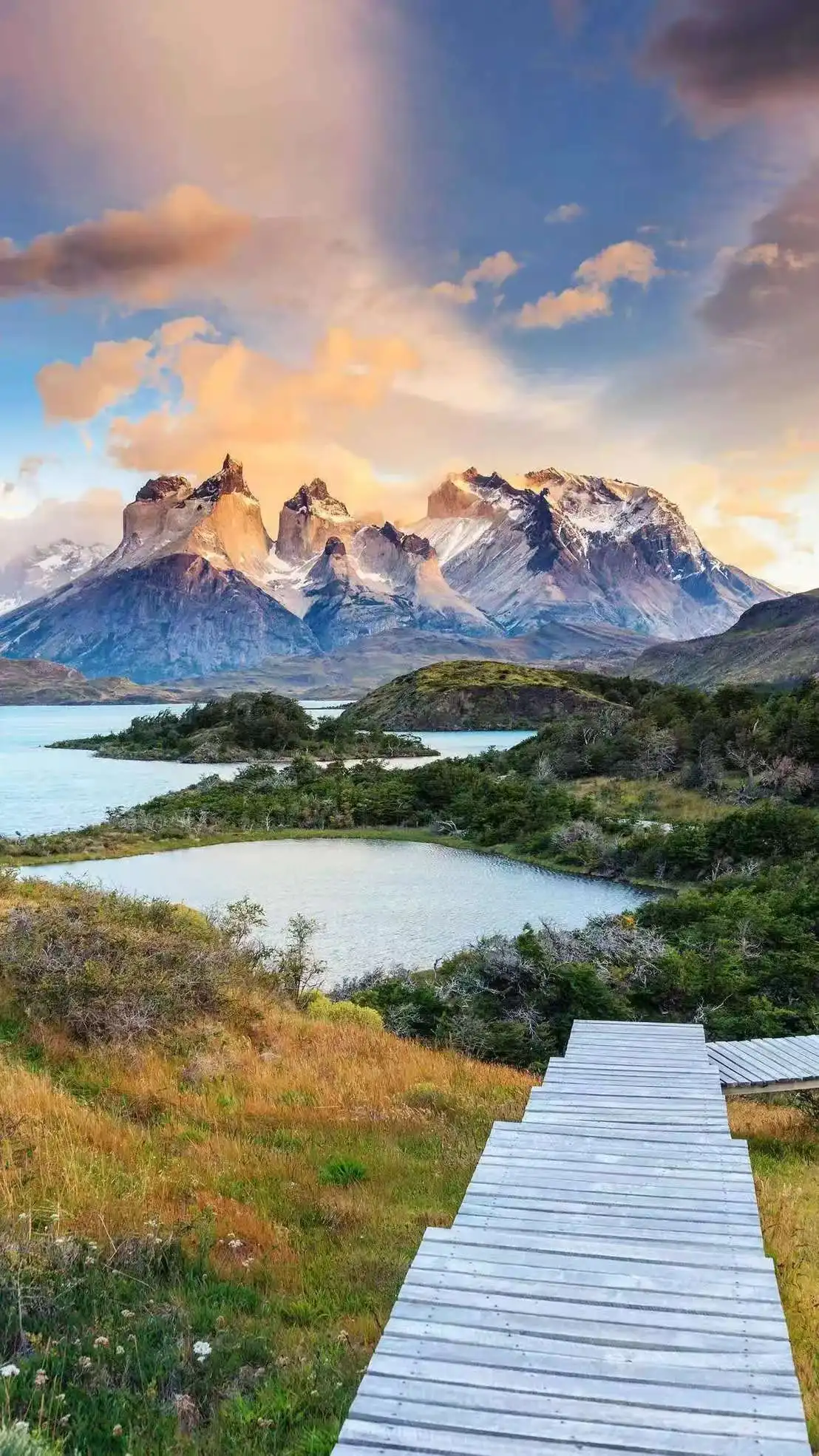 

MYOSlim 6500W NEO Ems Body Sculpting Slimming Fat Burning Muscle Electromagnetic Stimulate Sculpt Therapy Machine