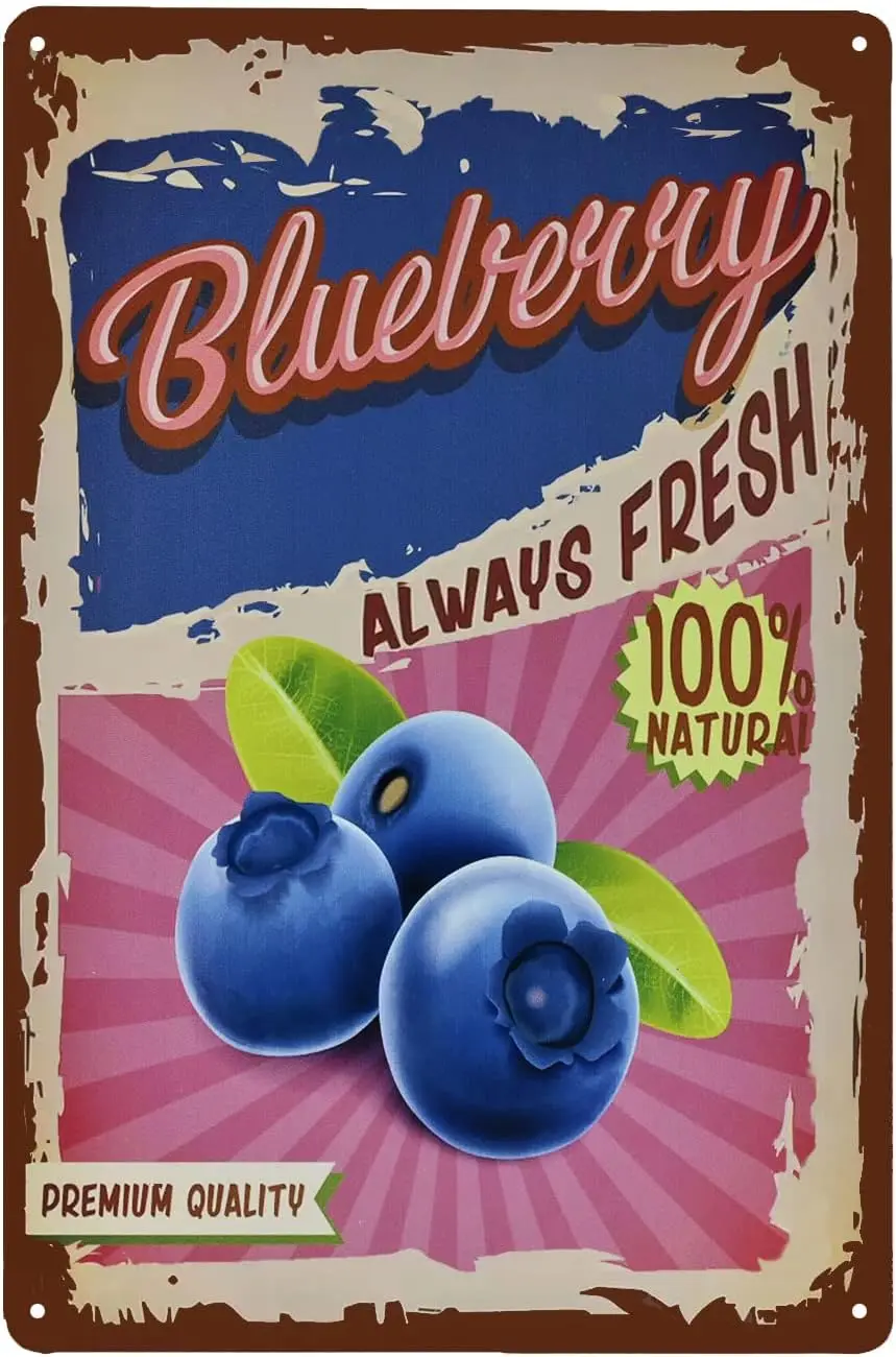 Vintage Blueberry Tin Sign - Fruit Metal Sign - Retro Decorative Sign Wall Decor Home Decor