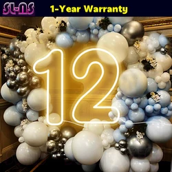 LED Numbers Sign Birthday Acrylic Lights 0 to 9 with Switch for Birthday Party Wedding Party Business Wall Decor Neon Number 1