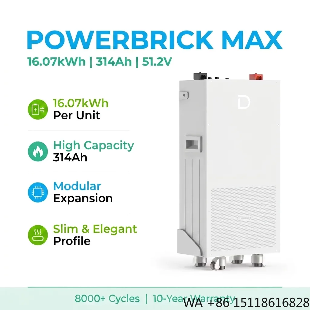 Dyness Powerbrick 51.2v 314ah Wall Mounted Lifepo4 Battery 15kwh 16kwh Energy Storage System Home Match 6kw Hybrid Inverter