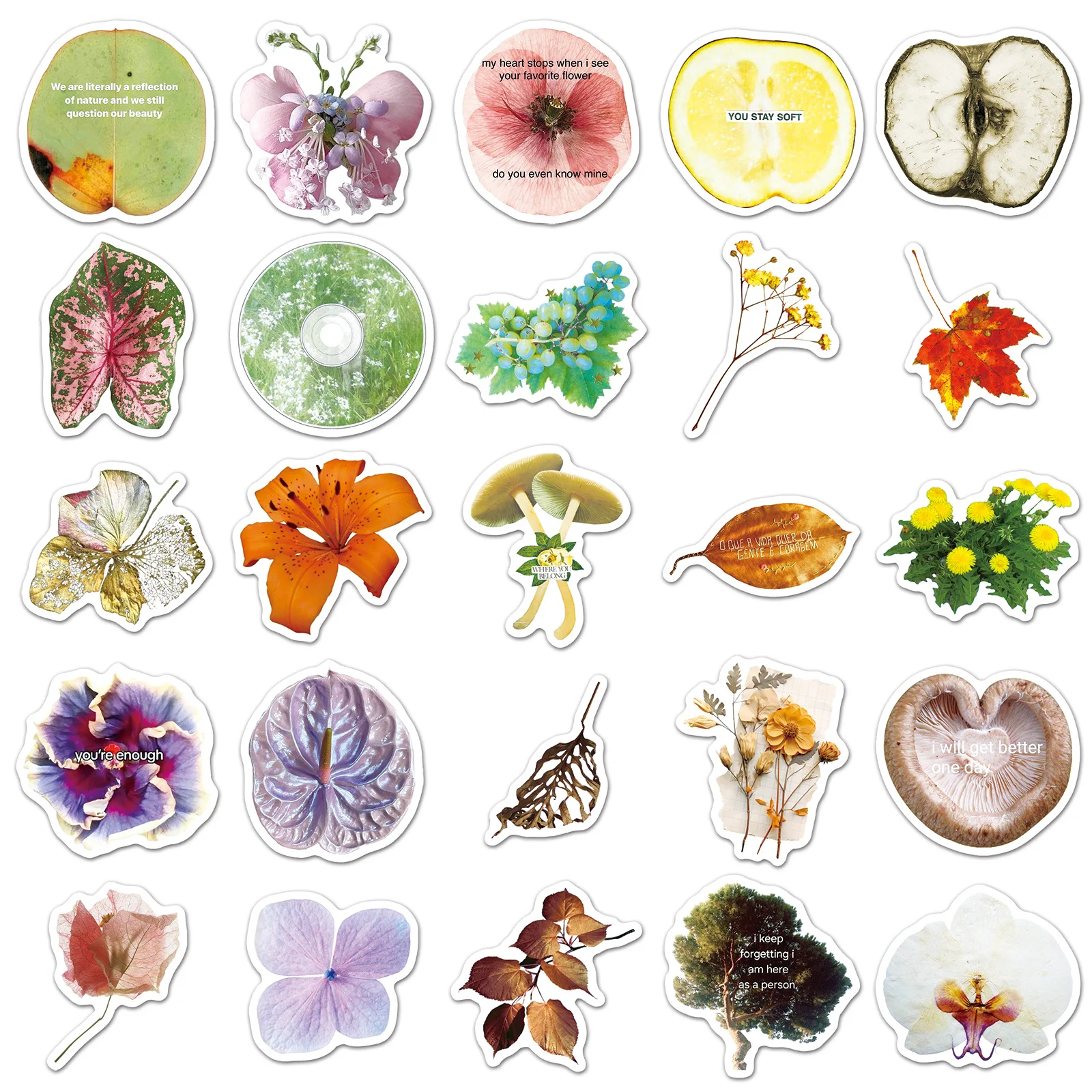 

50PCS Herbarium Style Stickers Instagram style Leaves Decorative Water Cup Laptop Phone Case iPad Waterproof Stickers Kids Toy