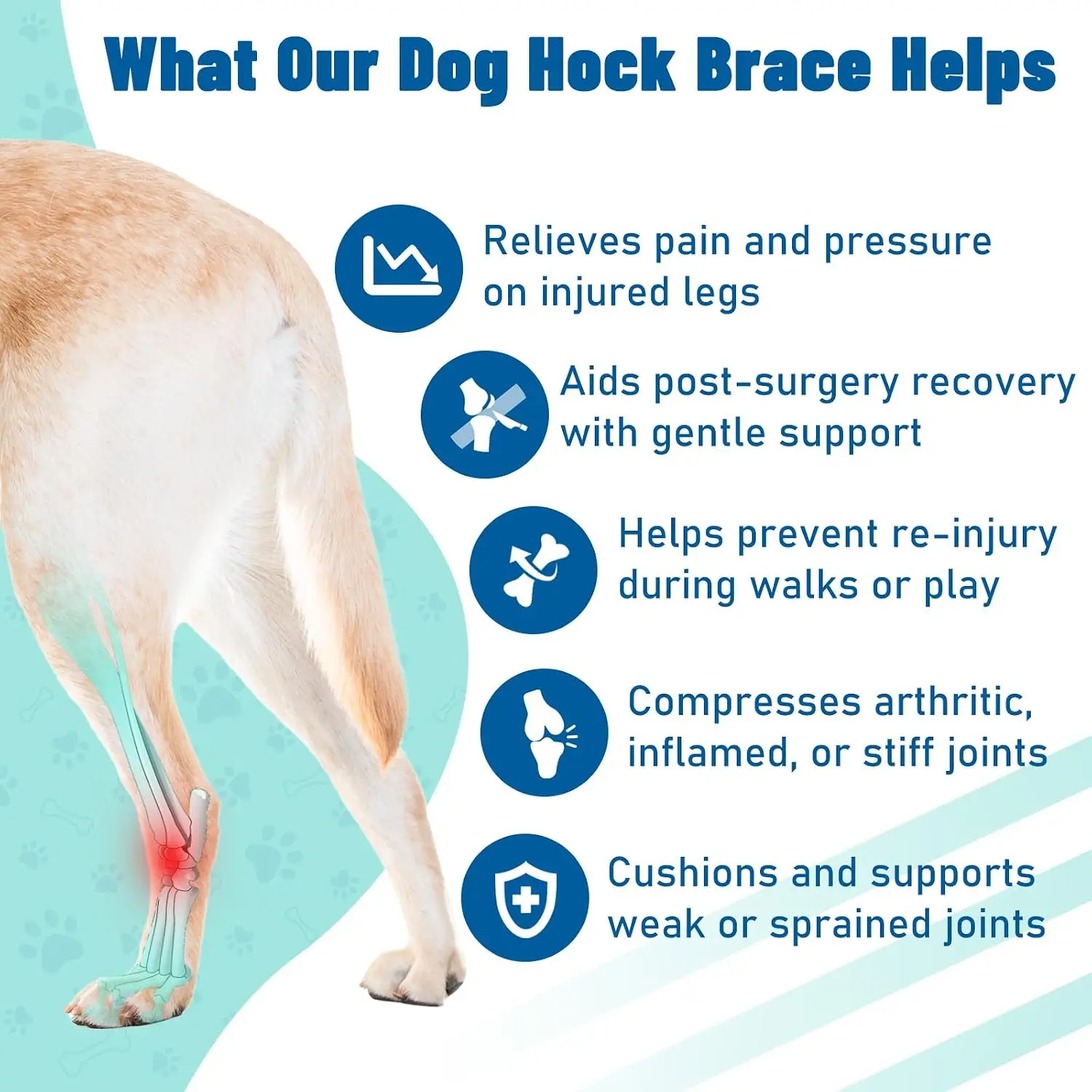 Dog Hock & Ankle Joint Brace for Legs with Metal Strip, Reflective Trim for Sprain,Injury, Arthritis,Puppy Paw Joint Protector