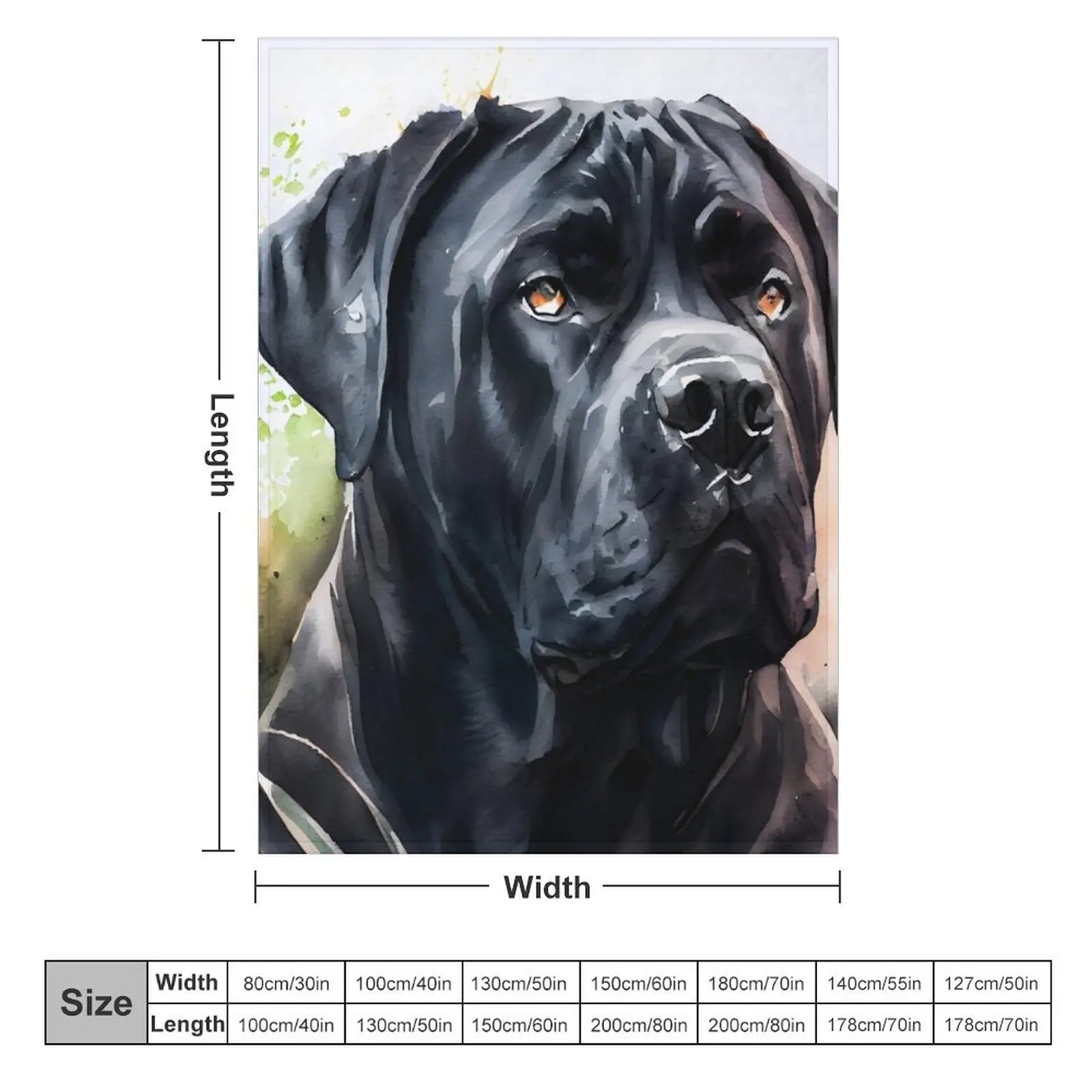 A Black Cane Corso Watercolor portrait Throw Blanket decorative Hairys For Decorative Sofa Blankets