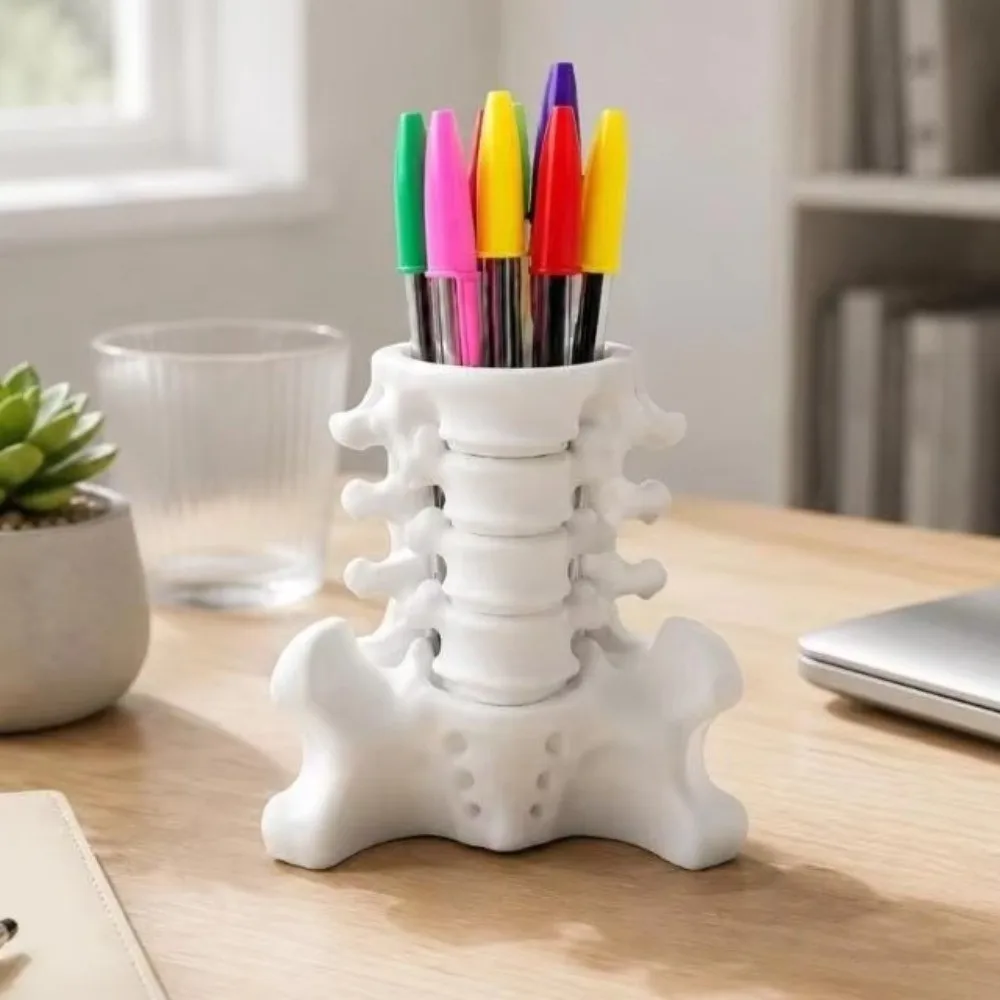 Fun 3D Printed Human Spine Pen Holder Spine Shaped Creative Pencil Organizer Sturdy Base Plastic Desk Pen Holder School Use