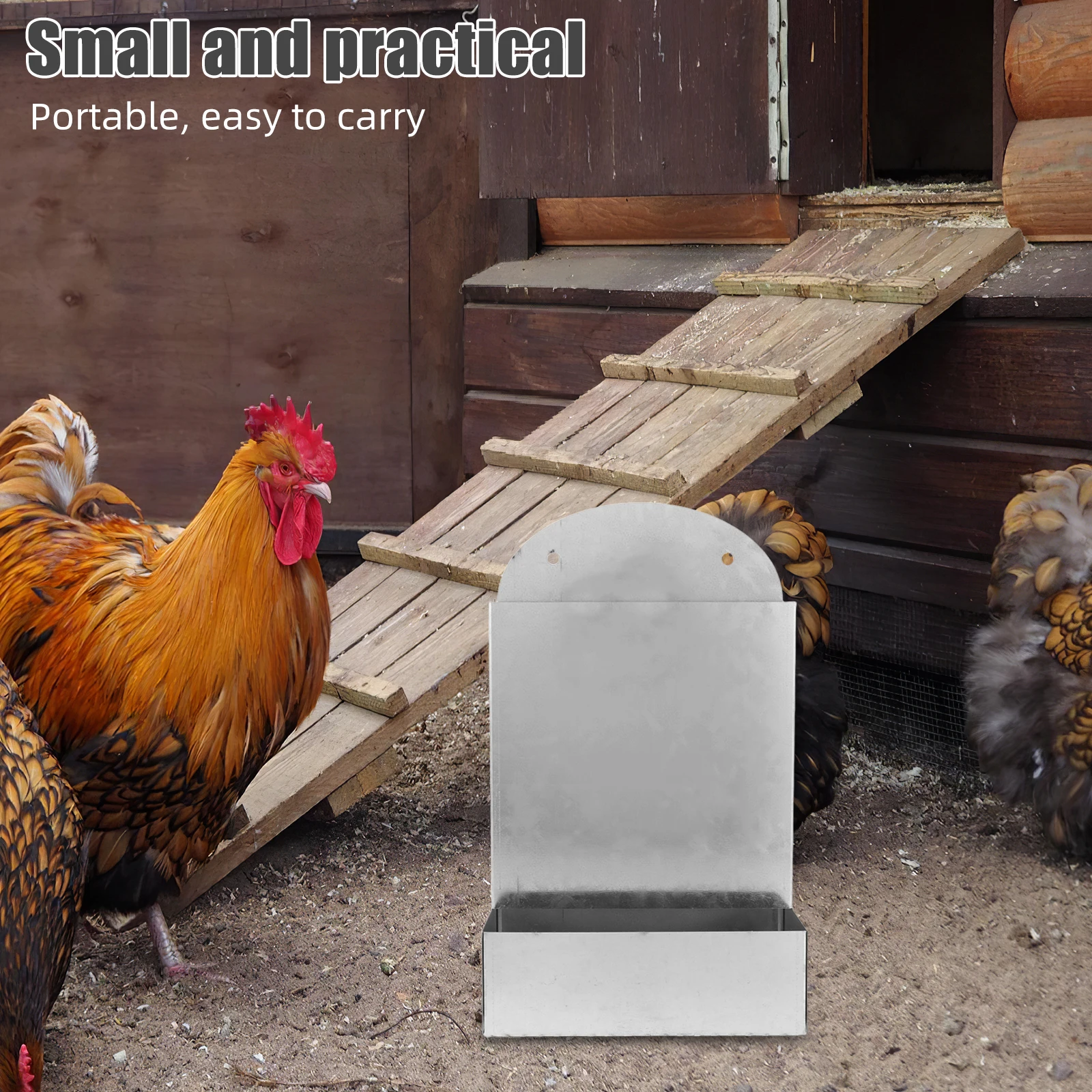

Chicken Automatic Feeder Coop Food Station Poultry Backyard Oyster Shell Dispenser