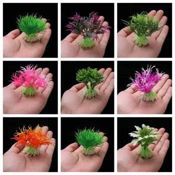 12 最佳銷售 水族箱種子 - №8