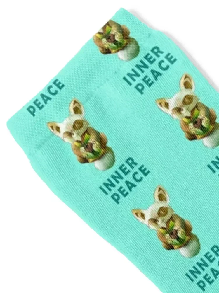 Master Shifu kunfu panda Inner peace graphics print Socks Novelties happy football hockey Designer Man Socks Women's