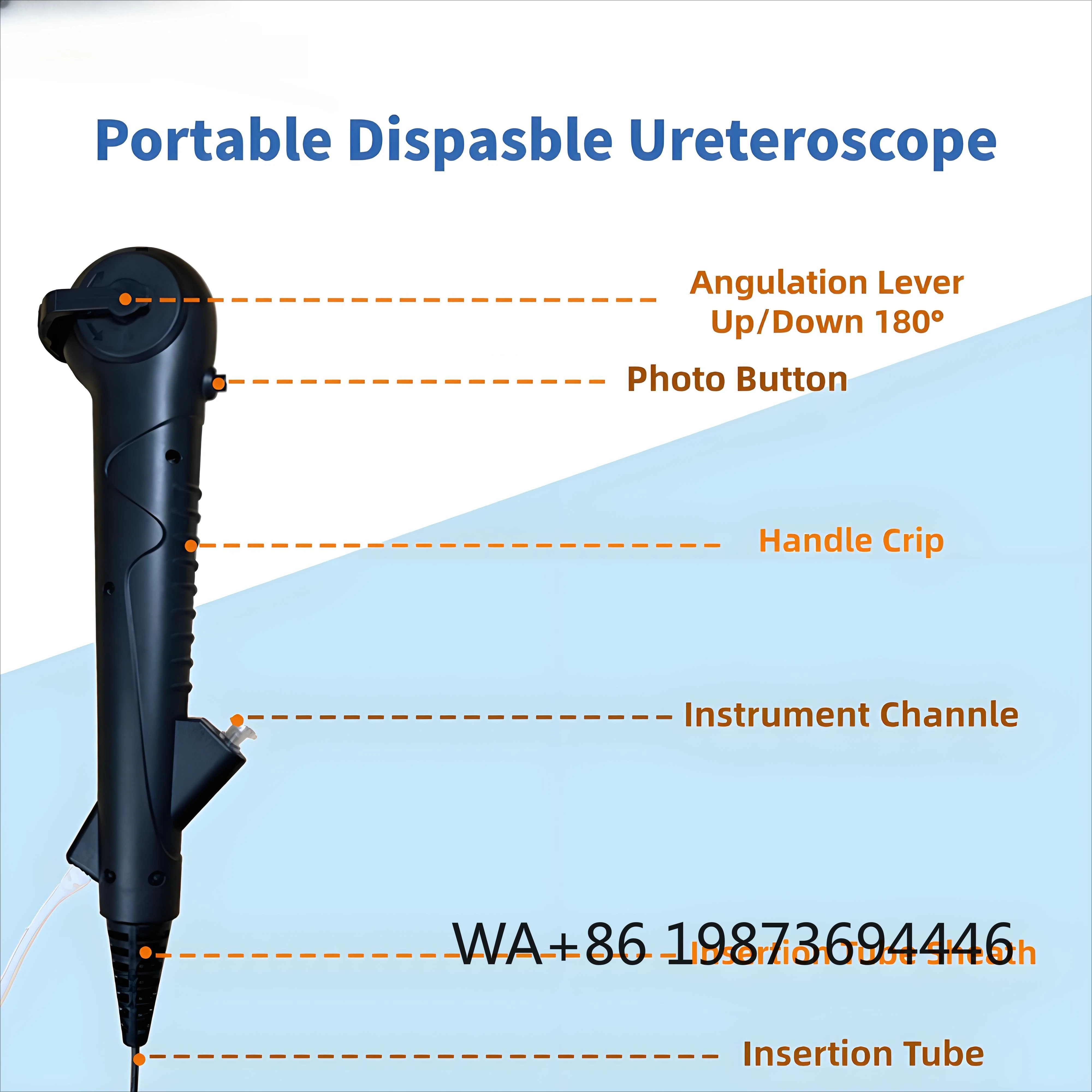 7.5Fr Flexible Ureteroscope Digital  Resolution with 1.2mm Channel Mini for Veterinary  Examination