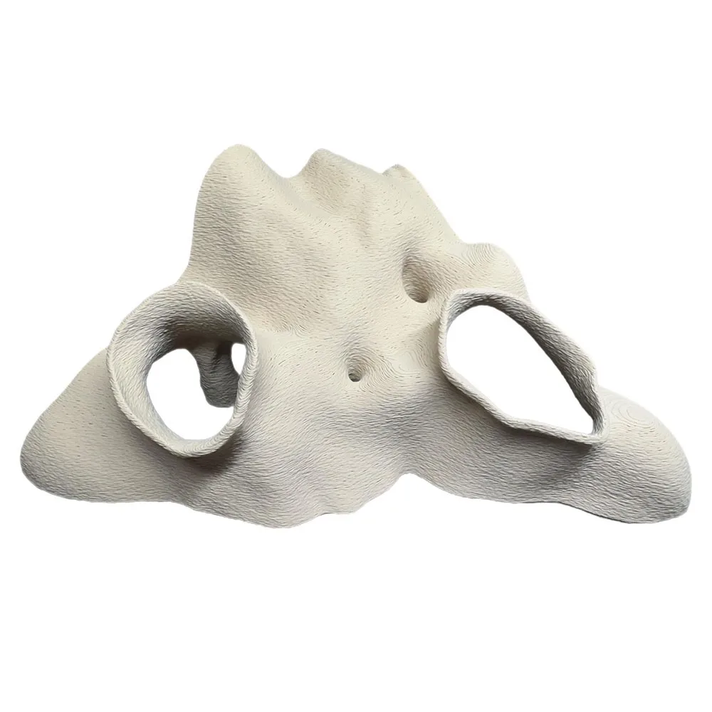 

Durable 3D Printed Cave Faux Mangrove Root Natural-Look Decor Fish Hideout Hideout Decor Textured Root Style Tunnel Cave