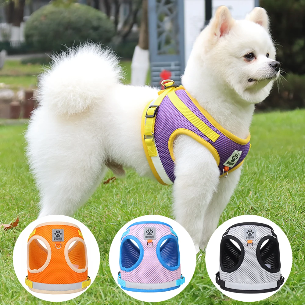Thumbnail 2 - #37 Best Puppy Harnesses to Buy In 2026