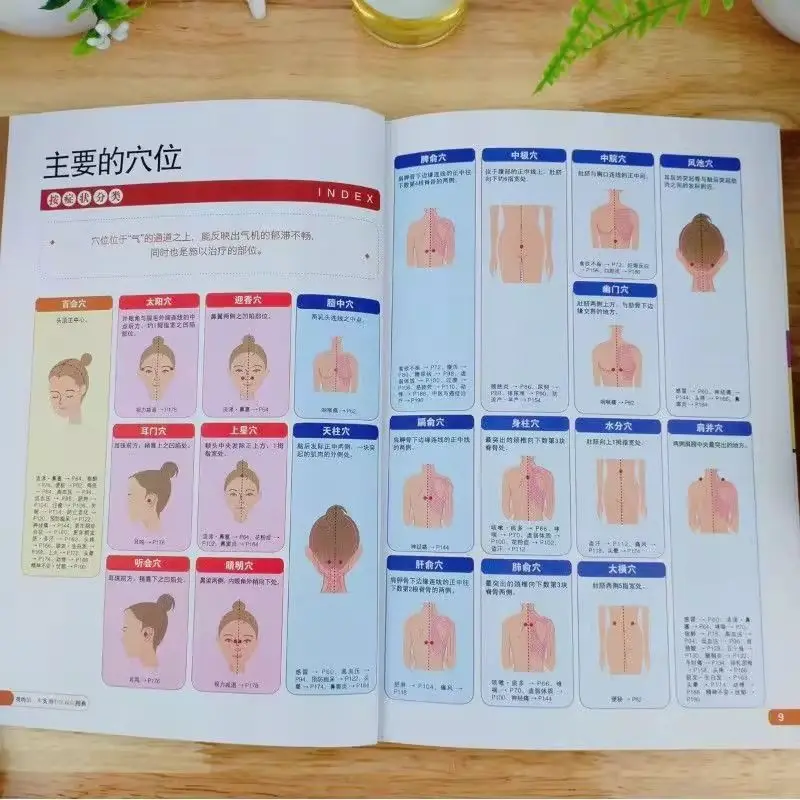 Diagram Quick Check My First Book Practical TCM Symptomatic Chart TCM Health Care Diet Therapy Human Meridians
