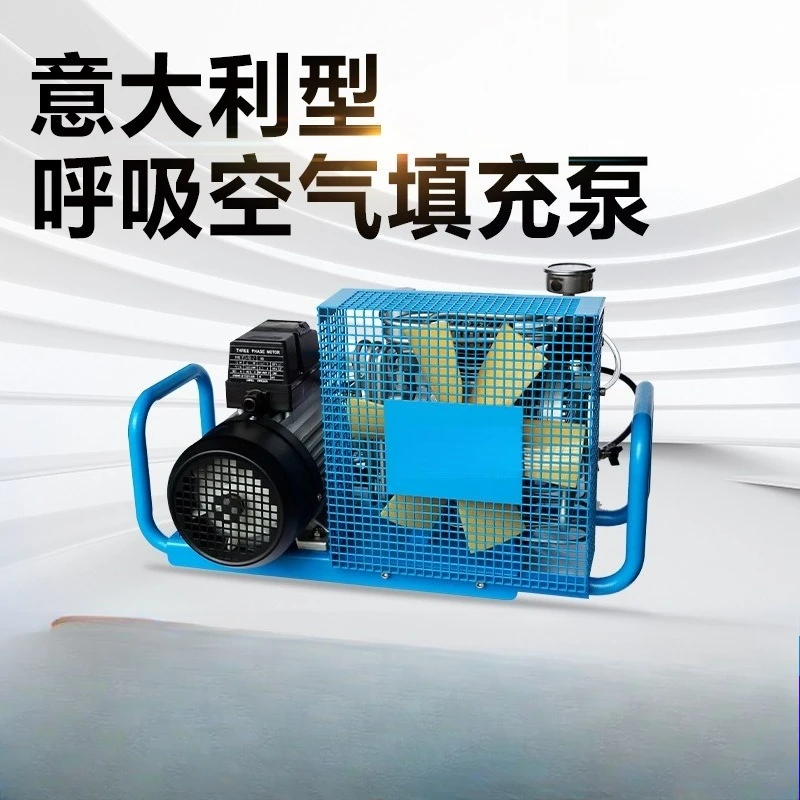 High Pressure Stabilized Professional Submersible and Fire Filling Pumps