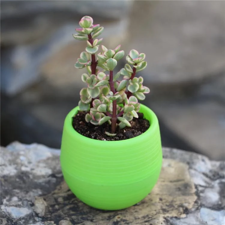 1PCS 7x7cm Mini PP Resin Plastic Small Flower Pot Colorful Potted Plant for Office Decoration Home Garden Miniature Plant Contai