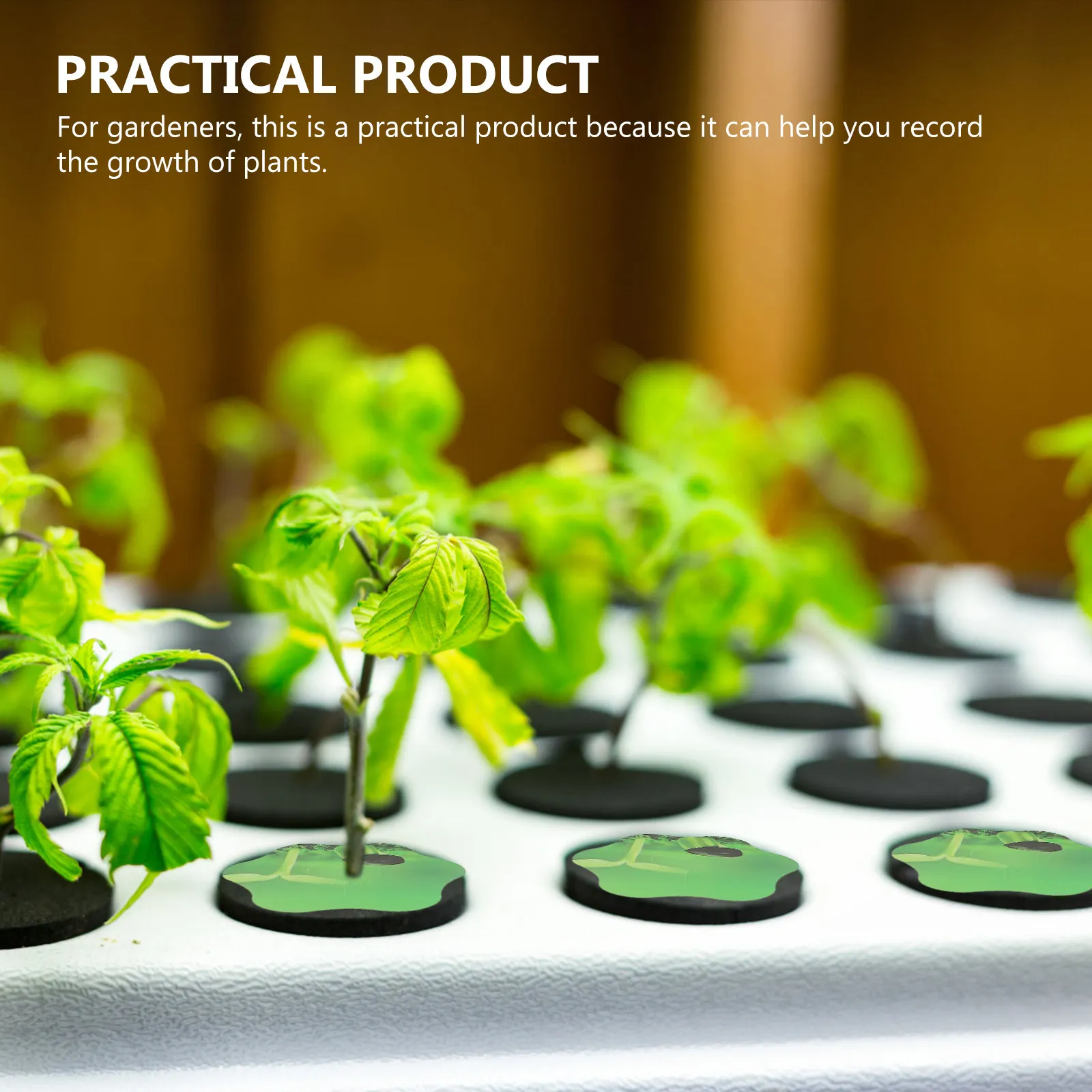100Pcs Hydroponic Garden Pod Labels Green Self-Adhesive Plant Grow Basket Stickers for Indoor Garden Supplies PVC Moss Proof
