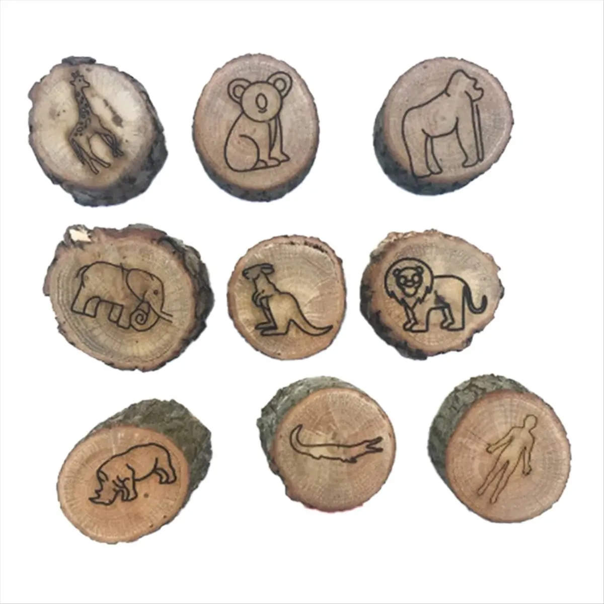 A75K 9pcs Animal Tracks Stamps Mould Animal Footprints Engrave Wooden Children Toys Muddy Ground Snowfield Step Print