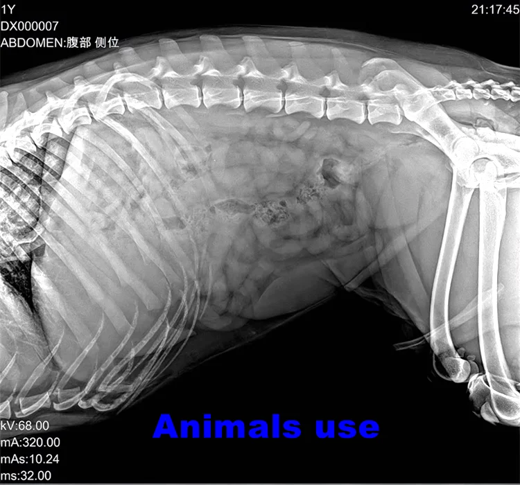 1417 /1717 High Resolution Veterinary Medical Equipment Wired Flat Panel Detector DR X Ray Radiography Machine for Human / Vet