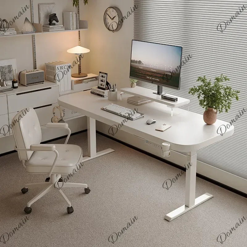 NB X Strong Asthetic Executive Desk Storage Designer Large Luxury Office Desks White Cheap Modern Mesa De Escritorio Office Furn