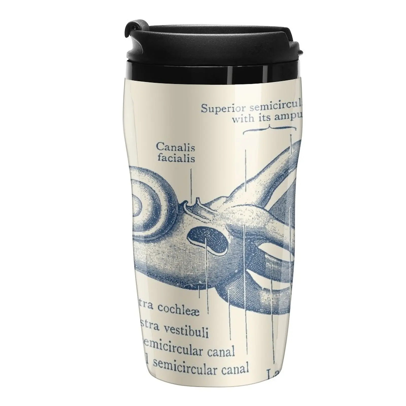

New Inner Ear Anatomy Diagram Travel Coffee Mug Custom Mug Thermal Glass For Coffee Coffee Accessory