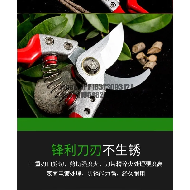Branch shears Strong mulberry shears Labor-saving household fruit tree shears