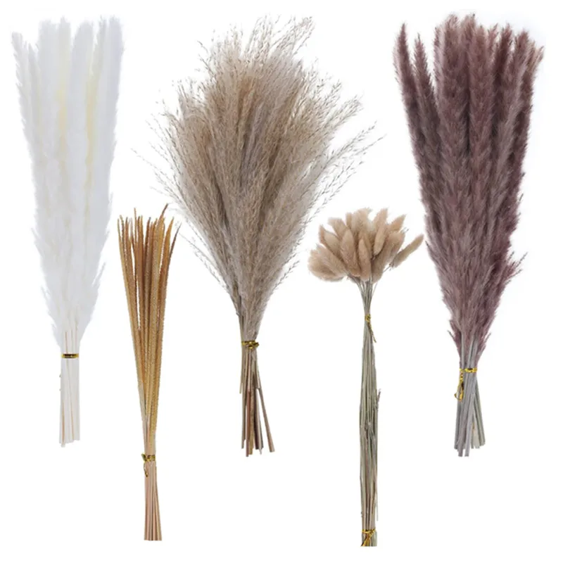 

Small Pampas Grass Natural Dried Reed Grass Boho Decor Flower Arrangement for Wedding,Party,Kitchen，Dining Table