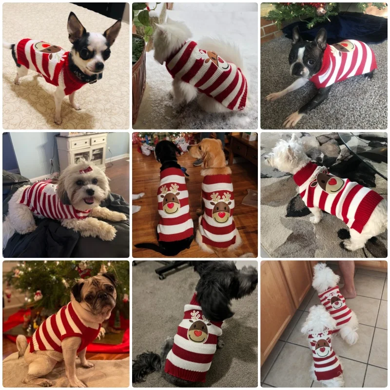 Pet Dog Sweater Fashion Dog Knitted Clothes Winter Puppy Pullovers Cute Soft Cat Sweater Christmas Pet Turtleneck Dog Costumes