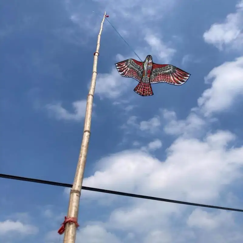 1,2/1,55/1,6/1,65/1,8 M Outdoor vogelafschrikmiddel Easy Fly Eagle Kite, leuk sportspeelgoed voor kinderen en volwassenen