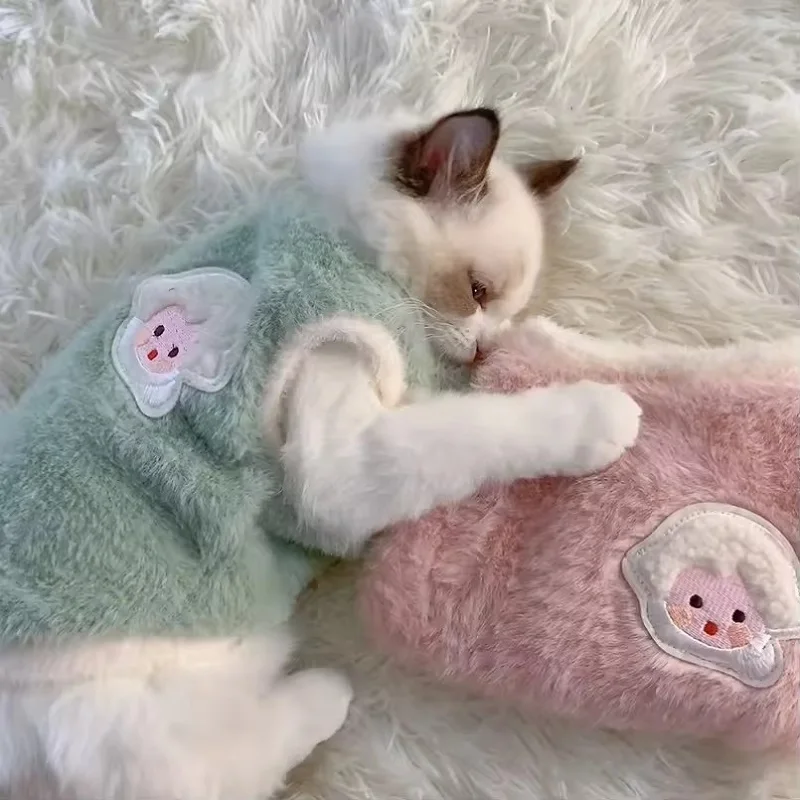 maglione per gatto