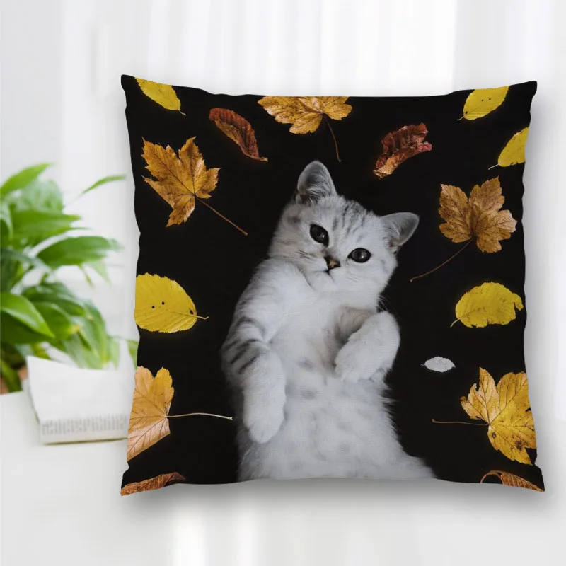 With Zipper Bedroom Home Office Pillow Sofa Pillowcase Cushion  Scottish Folding Cat