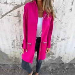 Solid Color Long Sleeved Casual Zipper Hooded Jacket