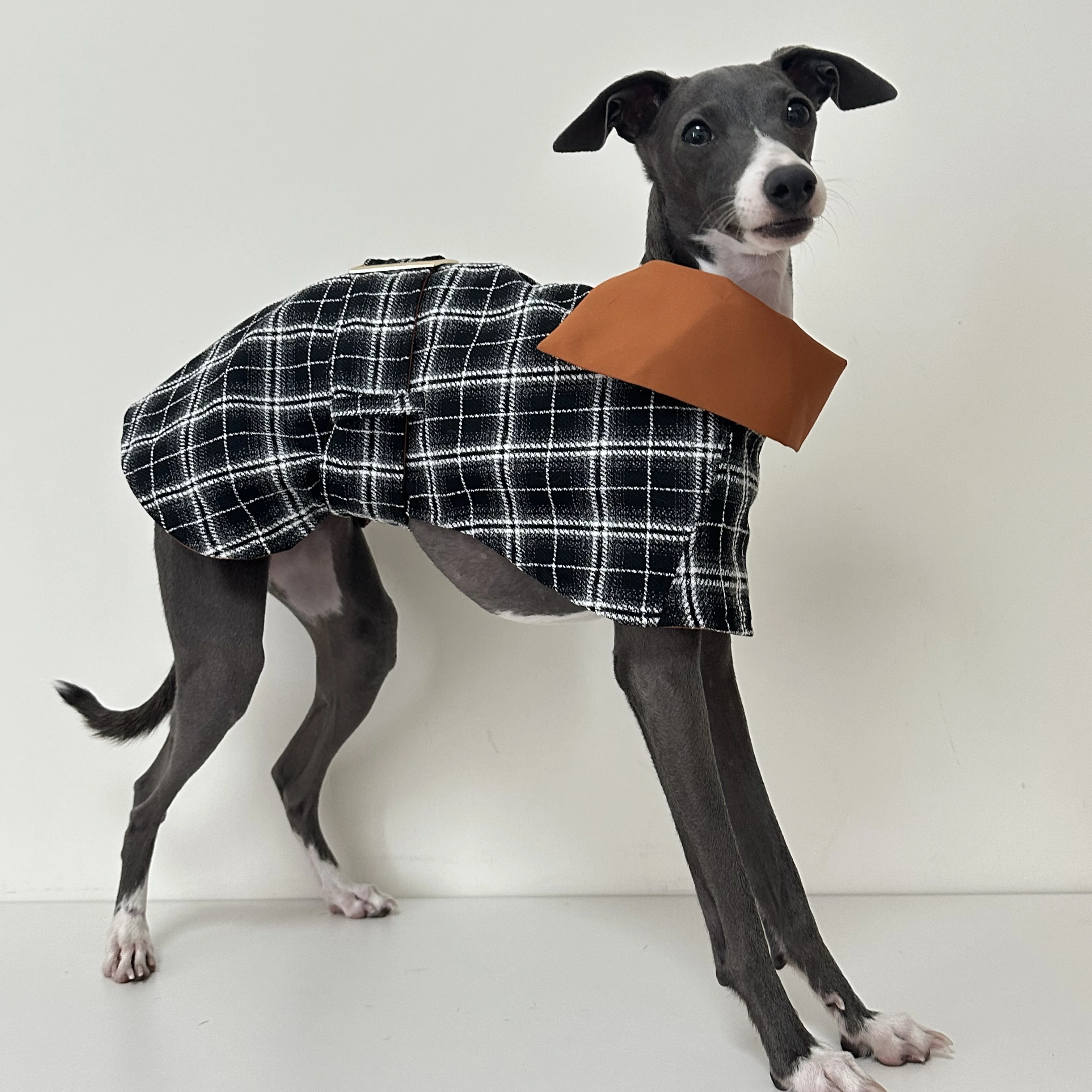 

Fashion Black Plaid Cotton Greyhound Dog Dress Whippet British Girdle Cape Jacket Airless Terrier Dog Clothes in Winter
