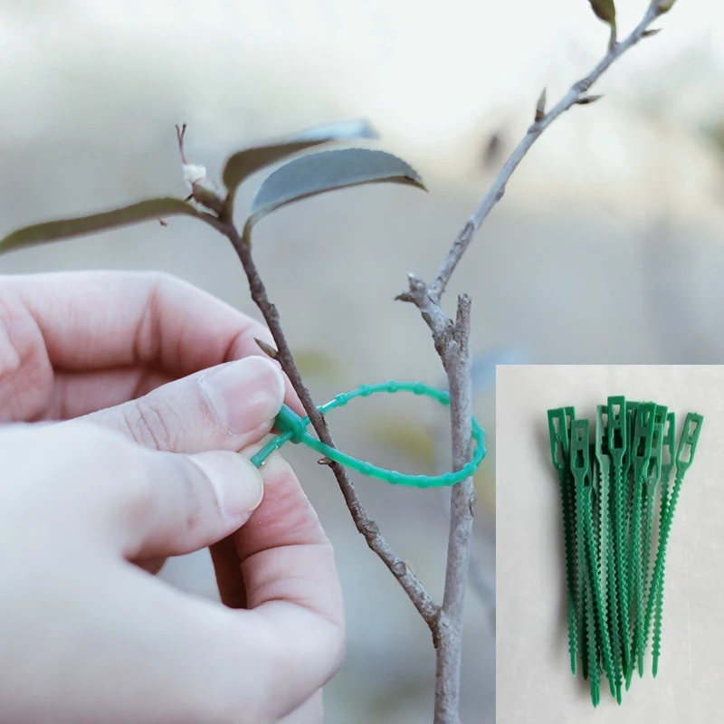 50Pcs 13/17/23cm Reusable Garden Cable Ties Plant Support Shrubs Fastener Tree Locking Nylon Adjustable Plastic Cable Ties Tools