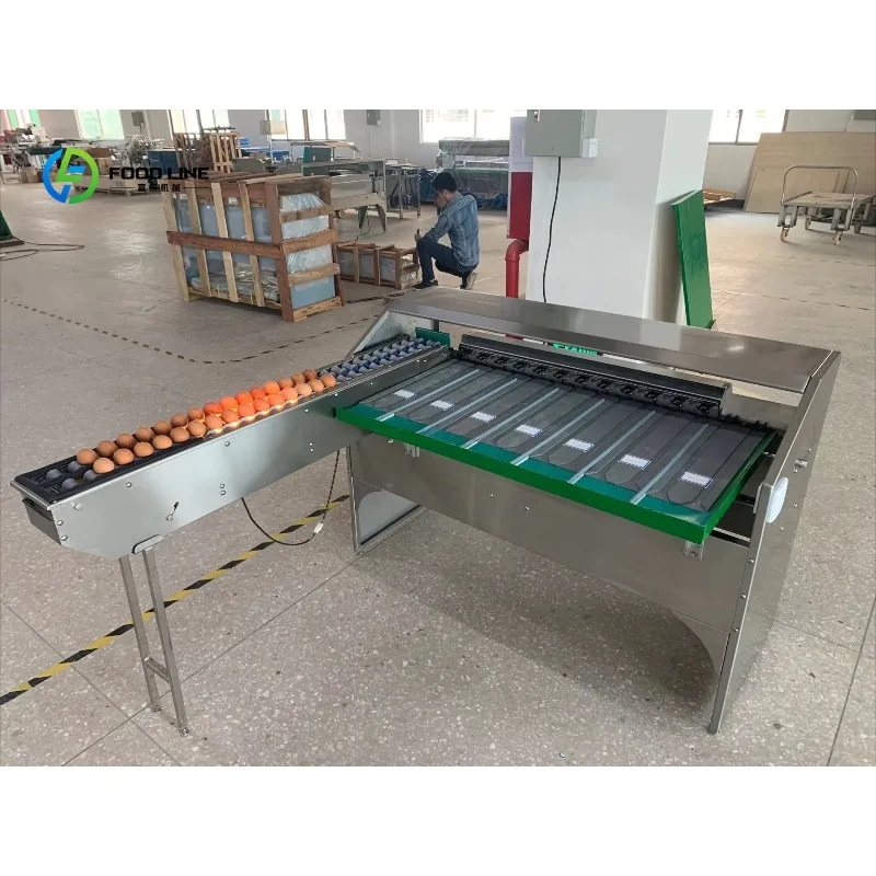 Customized Full Automatic Egg Grading Machine Weight Sorter Classify Size Small Scale Grader Sort Egg Grade Machine By Weight