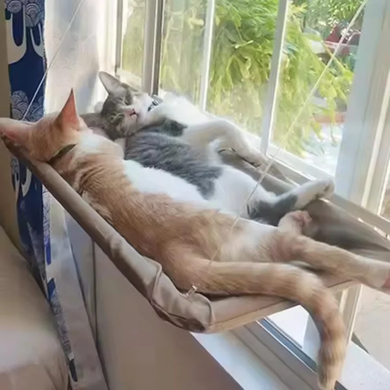 #8 Best Rated Cat Beds to Buy in 2026