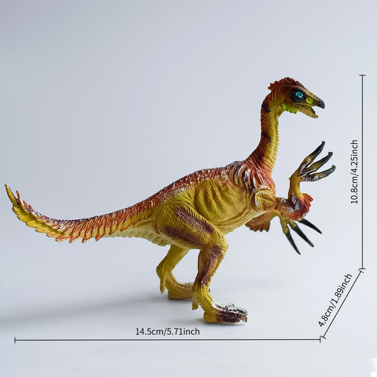 1 Movable Articulated Model of a Similisaurus (a Type of Theropod) | 4 Joints Are Movable | Dinosaur Lovers | Decorative Ornaments | Teaching Aids | Birthday Party Anniversary Gift | Christmas, Easter, Halloween, Hanukkah Gifts