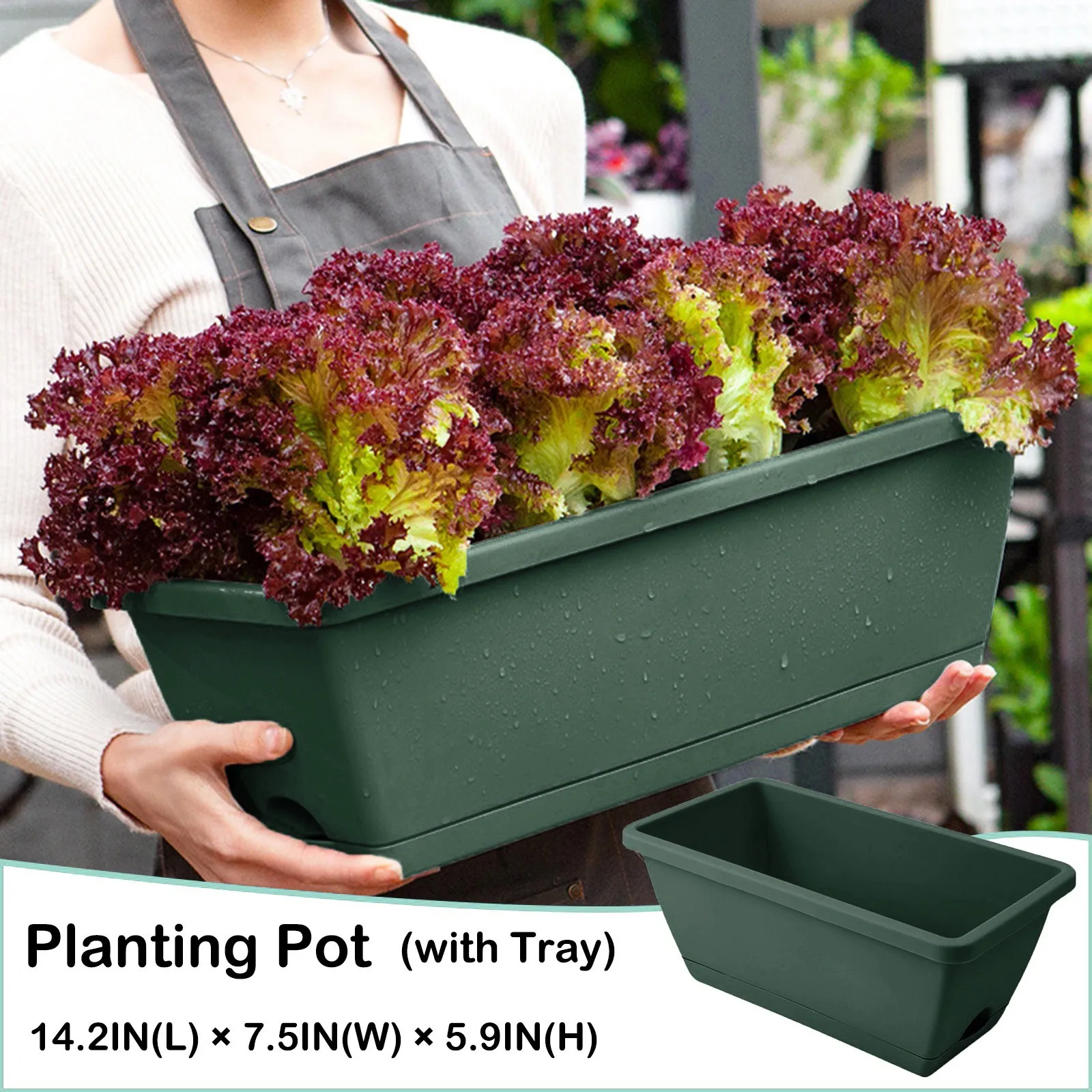 Balcony Pot Flower Vegetable Plastic Trough Pot Vegetable Patio & Garden Northeast