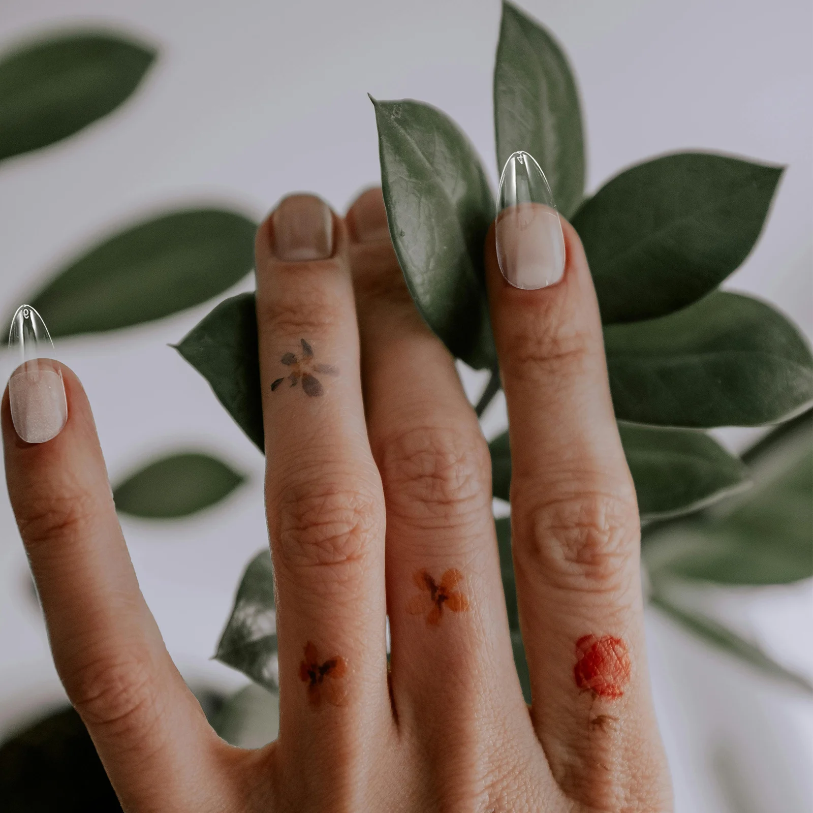 120 قطعة غطاء كامل مسمار نصائح الأظافر وهمية واضح اضغط على الأظافر كاذبة DIY بها بنفسك مانيكير مسمار الفن لوازم DIY بها بنفسك أظافر نصائح #5