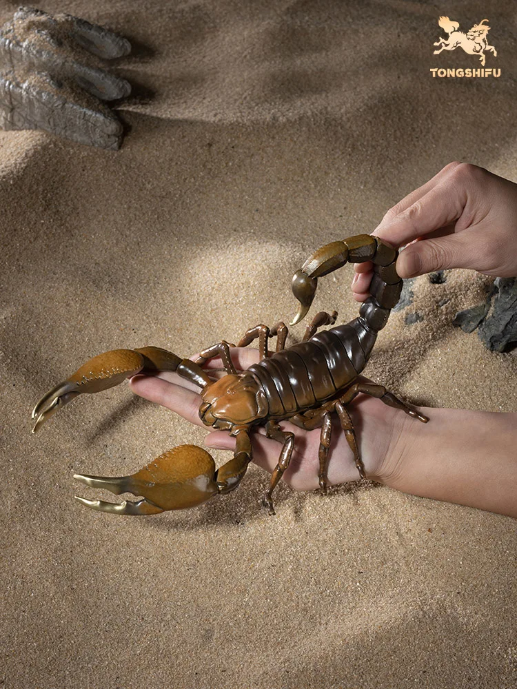 Amazing Fu Jia Yi F… - image