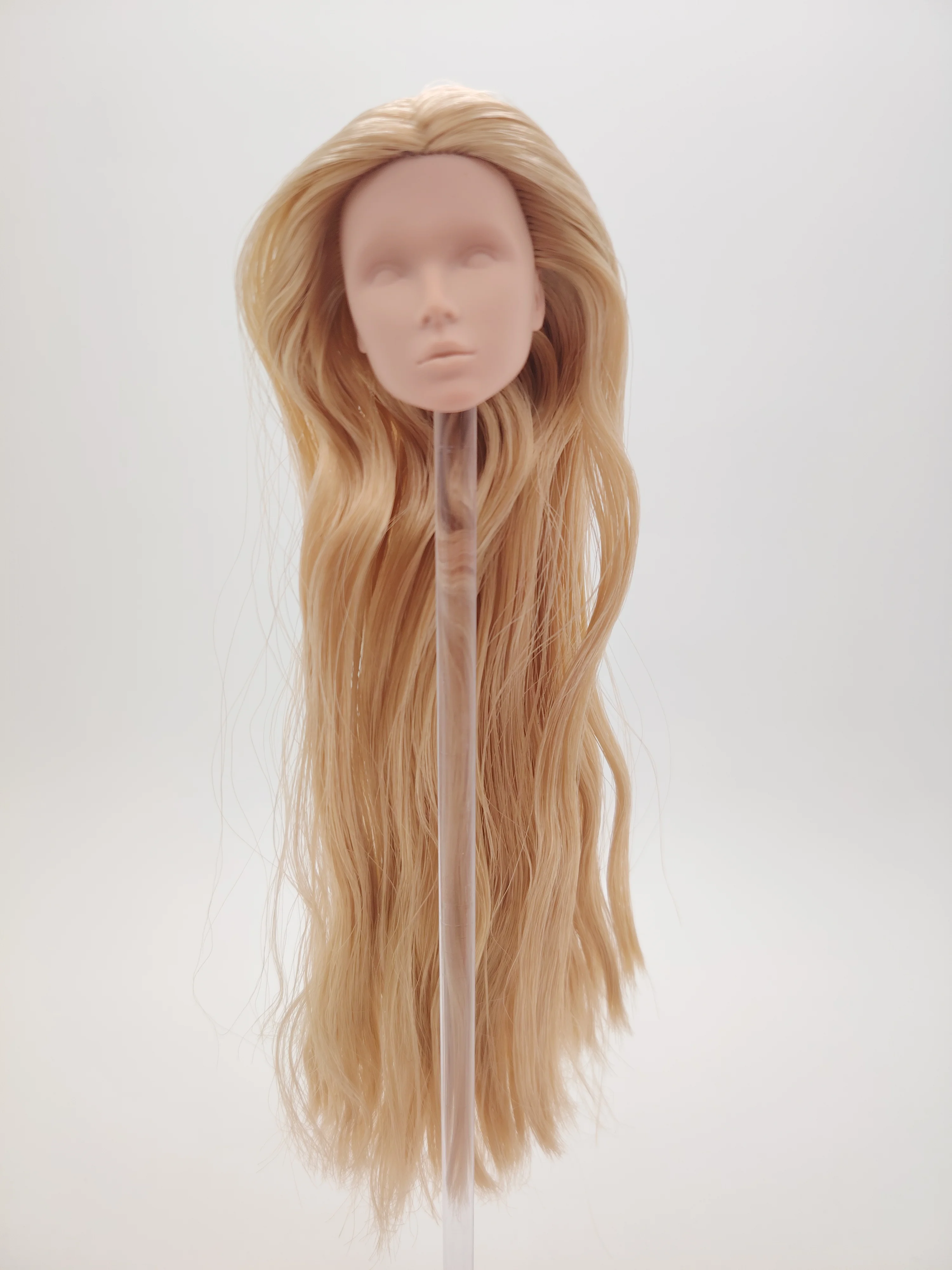 

Fashion Royalty Nu.face Golden Hair Lilith Eden Blank Face FR White Skin 1/6 Scale Integrity Doll Head