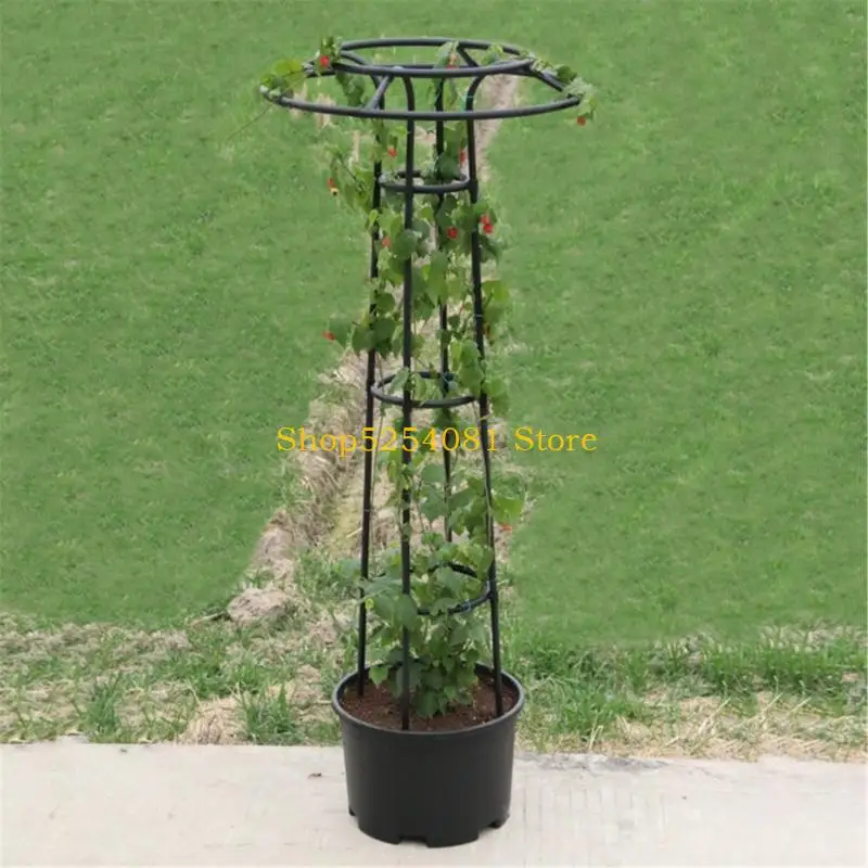 AXYC Fruit Trellis Metal Garden Climbing Support Wide Stretch Ties for Vertical Gardening Dragonfruit Vining Plant Gardening