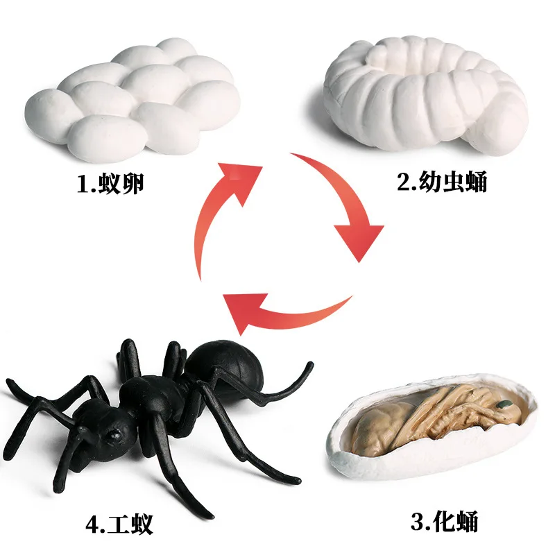 43 أنواع من نماذج الحيوانات والحشرات على شكل فراشة النحل اليعسوب السرعوف النمل الحلزون شخصيات الحركة مجموعة جويت ديكور لعبة تعليمية للأطفال