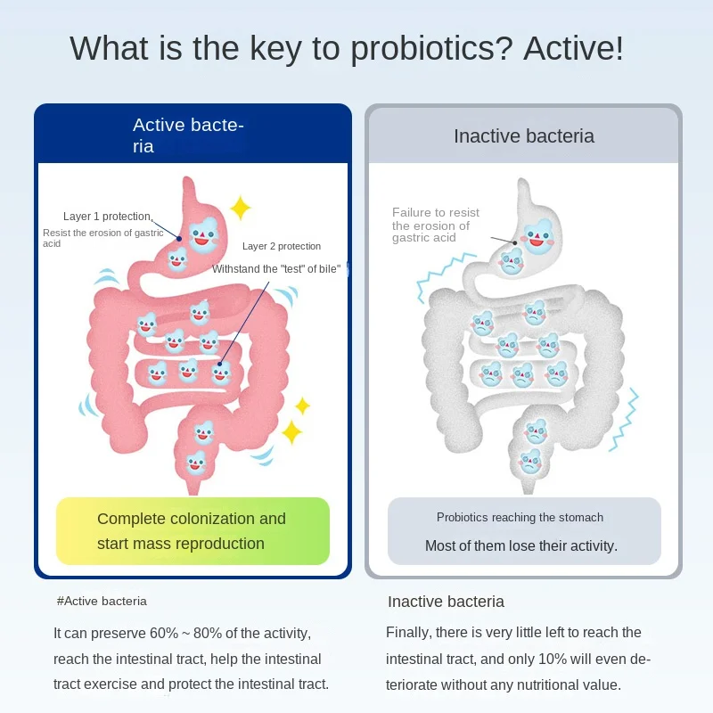 14 Kinds of Intestinal Probiotic Capsules for Adult Intestinal Regulation and Maintenance of Lactic Acid Bacteria Constipation