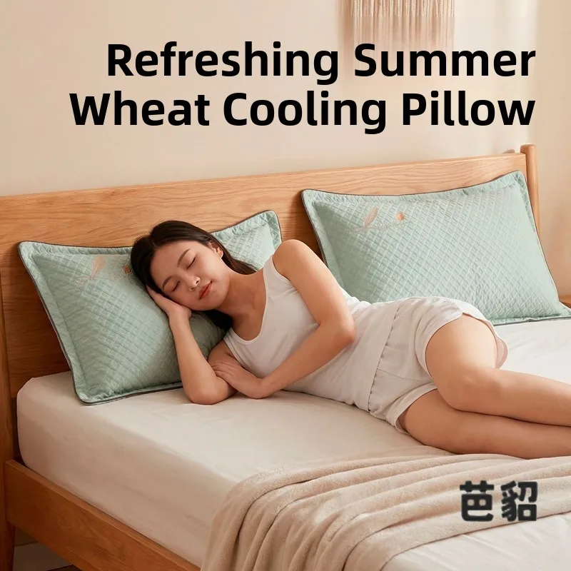 

Summer Ice Bean Pillow Whole Buckwheat Hulls Sleep Aid Adult Student Ice Silk Hard Whole Head Cool Pillow Rectangular Shape