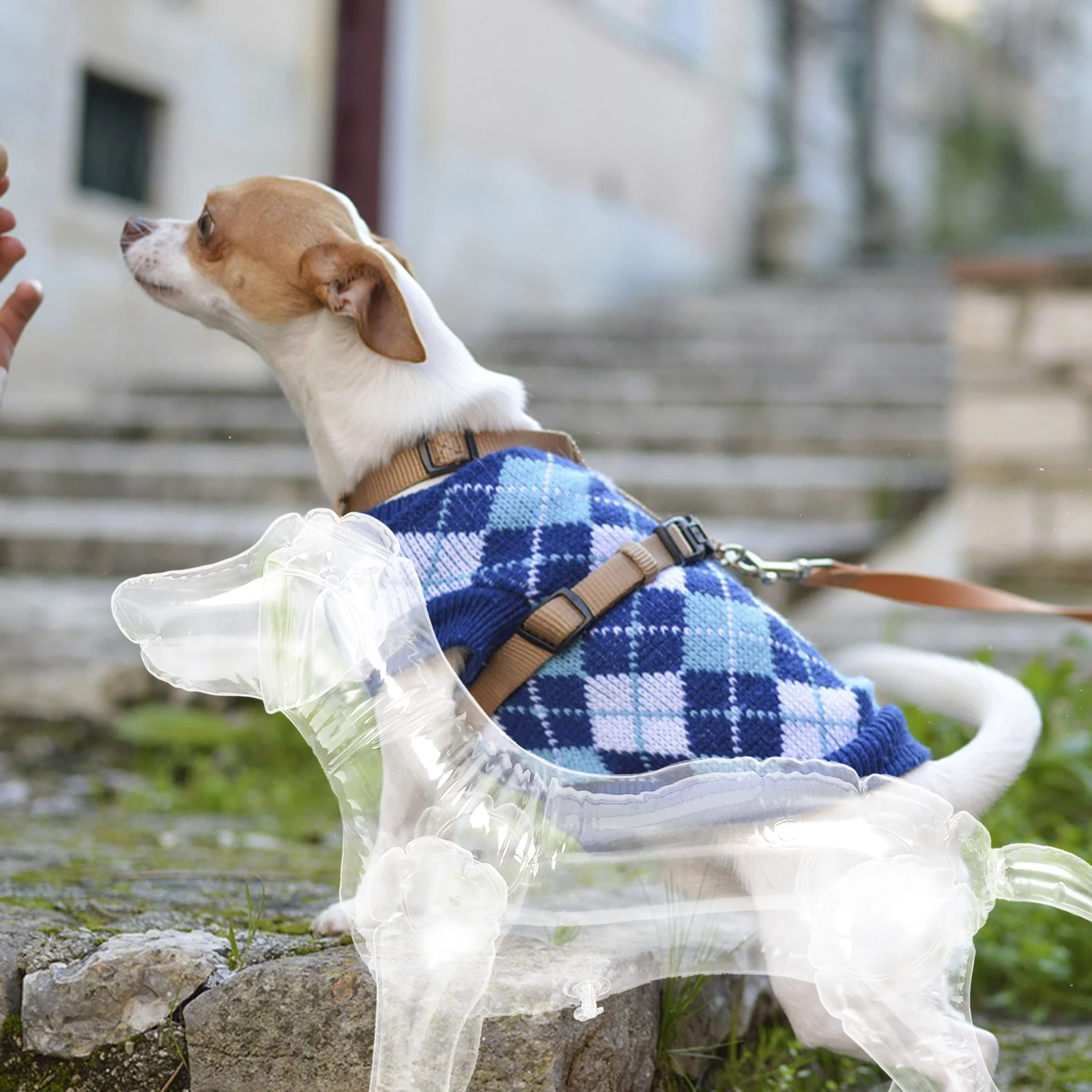

Inflatable Dog Mannequin Display Model Clothes Rack PVC Transparent Adjustable Size Dress Pet Sculpture Clothing Pet Shop