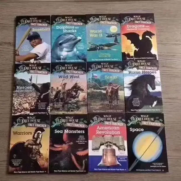 40 libros/juego de ropa deportiva Magic Tree House, enciclopedia de lectura Original en inglés de libros para niños, Libro