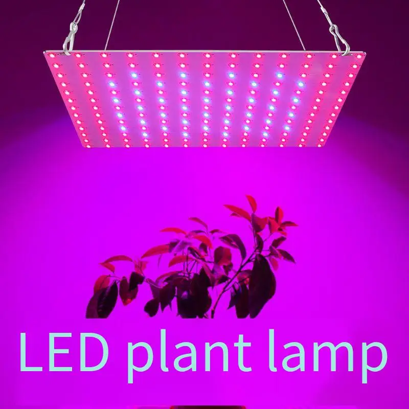 Luce per la crescita delle piante a LED Spettro completo 169 Perline Design sottile con gancio Luce rossa blu per piantine Verdure Erbe