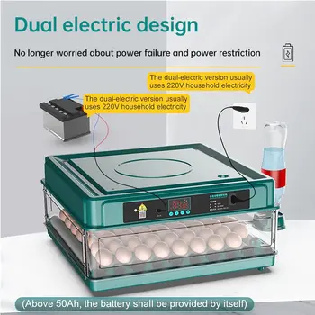 10 best sales Incubatrice per uova completamente automatica - №7