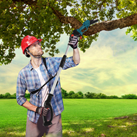 2-IN-1 6 inch Electric Handheld Chain Saw with 1 Pack Rechargeable Batteries,Cordless Pole Saw & Mini Chainsaw