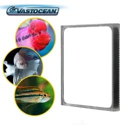 Vastocean Multifunction Flower Magnetic Horn Betta Fighting Fish Training Mirror